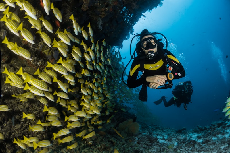 Scuba diver in a black and yellow wetsuit swimming beside a large school of yellow-striped fish in clear blue ocean water